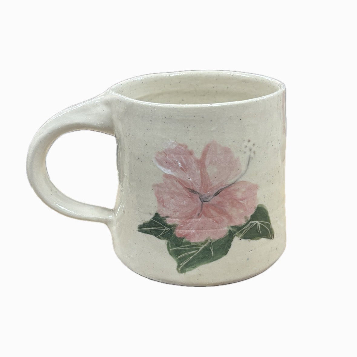 Pink Hibiscus
